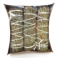 (3 pack ) - Juniper Smudge Sage 3"+