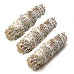 Blue Sage 4-5"L + 3 pack