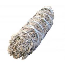 Blue Sage Large 8-9" Long